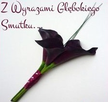 Fioletowy kwiat z wyrazami głębokiego smutku